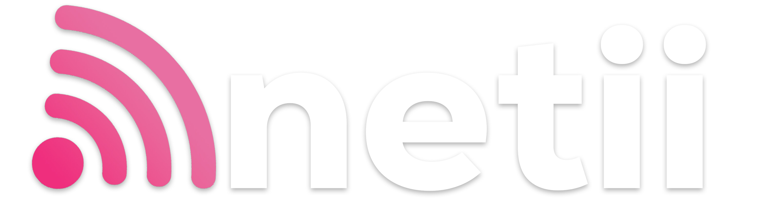 netii logo